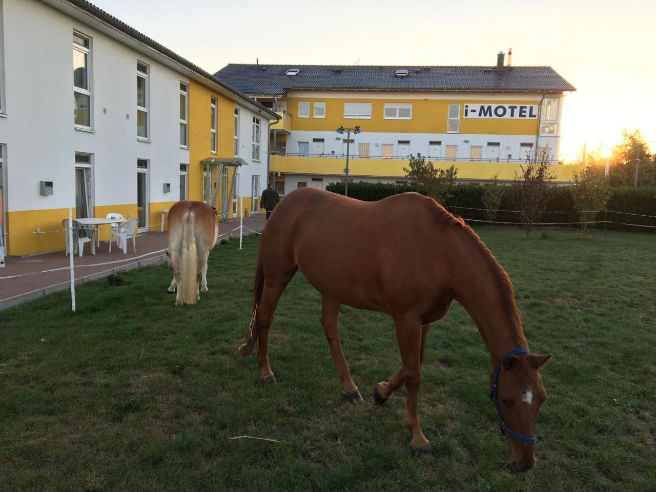 I-Motel Obertshausen Kültér fotó